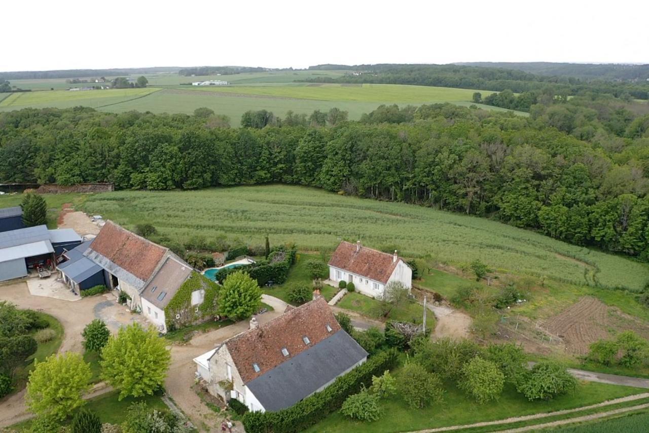 Chambres d hôtes de la Mauguinière Neuillé-le-Lierre Extérieur photo